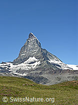 F037095: Matterhorn im Sommer