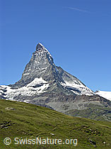 Foto: Matterhorn in grüner Landschaft