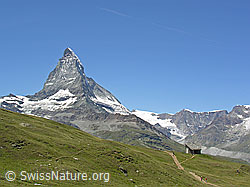 F037101: Riffelberg: Matterhorn im Sommer