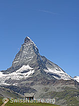 Foto: Matterhorn und Hütte