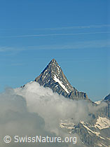 F037275: Gifpel des Finsteraarhorn