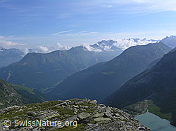 F037297: Blick vom Blattjegrat über das Binntal