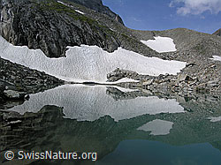 F037316: Mättitalsee mit Spiegelung