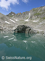 F037319: Spiegelung eines Felsblocks im Mättitalsee