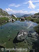 F037355: Wasserbecken im Mättital