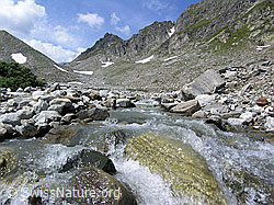 F037363: Bergbach im Mättital