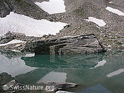 F037449: Spiegelung eines grossen Felsblocks im Mättitalsee