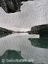 F037452: Schneefeld und Felsblock mit Spiegelung in Bergsee