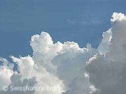 F037669: Quellwolkentürme