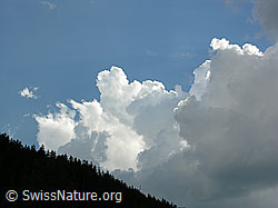 F037671: Quellwolkentürme über Waldrücken