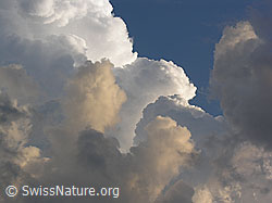 F037677: Rötliche und weisse Quellwolkentürme