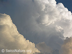 F037679: Gerötete, dunkle und weisse Quellwolken