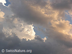 F037680: Quellwolkenstimmung