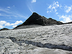F038085: Ober Rappehorn und Gletscherspalte