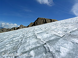 F038087: Muster auf dem Rappegletscher