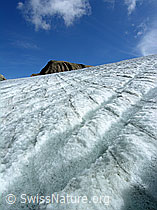 F038102: Gletscherbäche und Jahrringe auf dem Rappegletscher