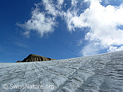 F038106: Jahrringe und Gletscherbäche auf dem Rappegletscher