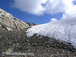 F038119: Gletscherrand