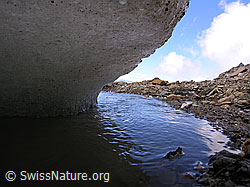 F038126: Gletschereis und Gletscherbach