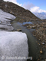F038128: Gletscherende