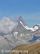 F038240: Finsteraarhorn von Süden