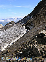 F038245: Bergschrund am Ober Rappehorn