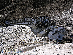 F038247: Bergschrund am Ober Rappehorn
