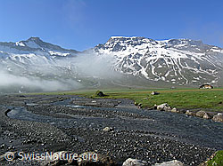 F038273: Morgenstimmung mit auflösendem Nebel auf der Engstligenalp