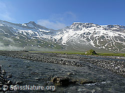 F038275: Bergbach Engstligenalp