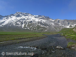 F038281: Wildstrubel