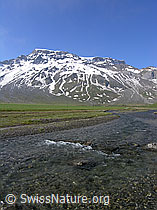 F038282: Wildstrubel mit Bergbach auf Hochebene