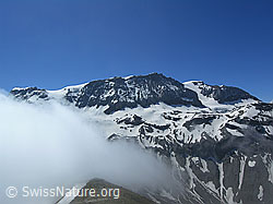 F038303: Wildstrubel