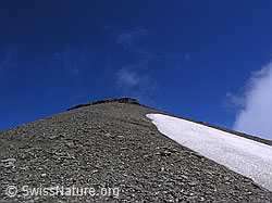 F038305: Ammertenspitz