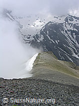 F038311: Nebel am Ammertengrat