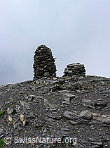 F038312: Steinmann und Ammertenspitz