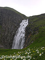 F038338: Engstligenfälle