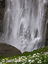 F038342: Grosser Wasserfall und Blumenwiese