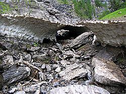 F038358: Schneebrücke über ausgetrocknetem Bachbett