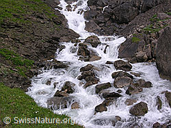 F038364: Engstligenbach, Adelboden, Berner Oberland
