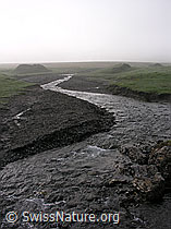 F038372: Bergbach auf Engstligenalp