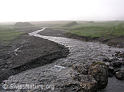 F038373: Bergbach auf Engstligenalp mit Morgennebel