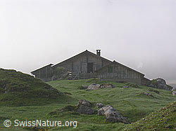 F038374: Alphütte im Nebel