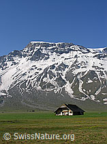 F038386: Alphütte auf der Hochebene der Engstligenalp