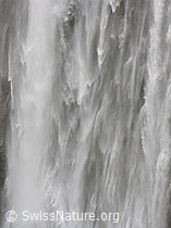 F038479: Wasserfall, Engstligenfälle, Adelboden