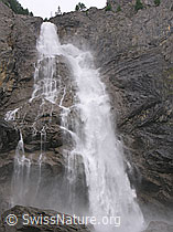 F038508: Engstligenfälle, Adelboden, Berner Oberland