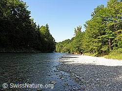 F038532: Emme bei Hasle-Rüegsau