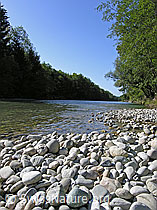 F038545: Kiesbank im Fluss Emme