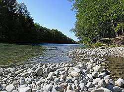 F038546: Flussbett der Emme