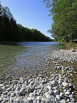 F038547: Natürlicher Flusslauf an der Emme