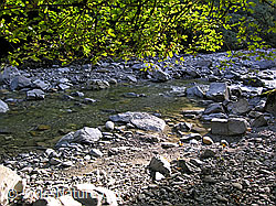 F038593: Morgenstimmung an der Emme